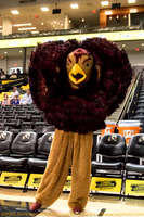VCU Women's Basketball - VCU vs. St. Joseph's